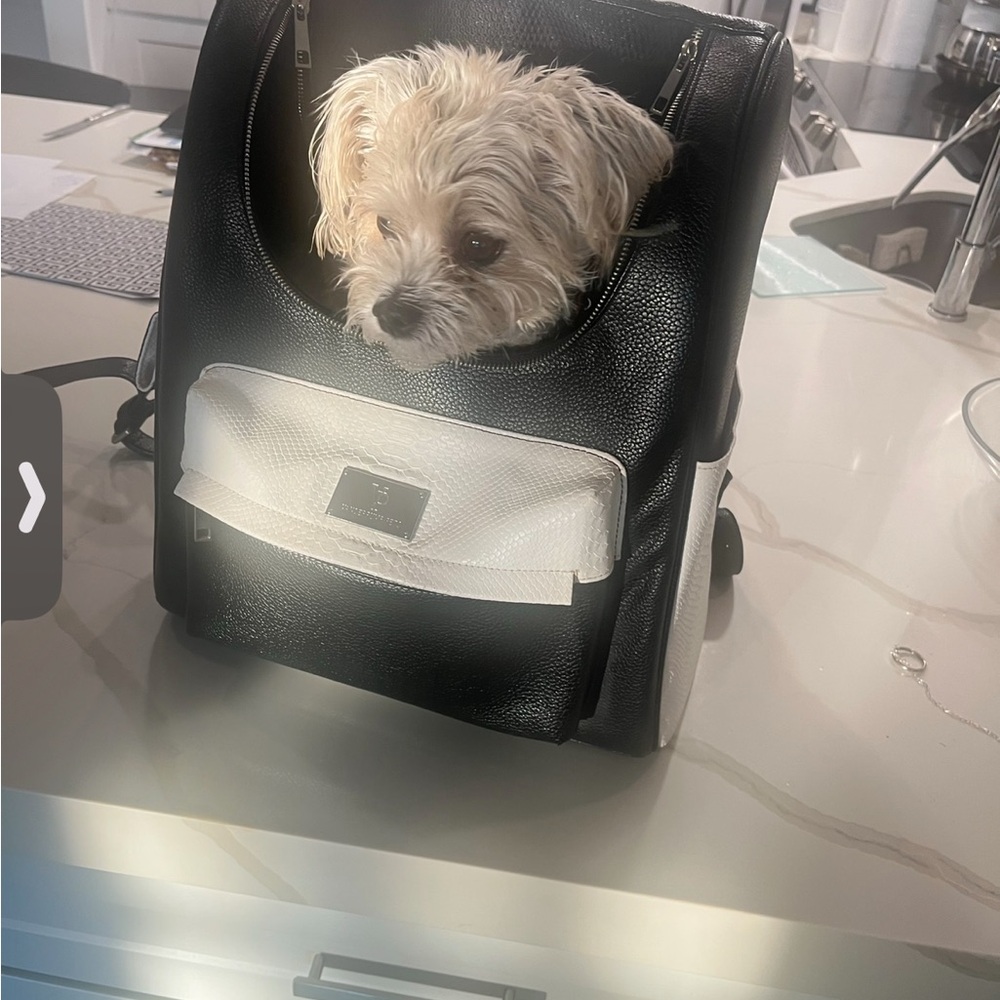 Vanderpump pet carrier